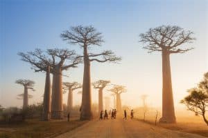 Explore the Beauty of World by Getting Entry in Visa Free Countries