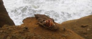 Pakistan’s Kund Malir Beach Now Among Asia’s Top 50 Beaches