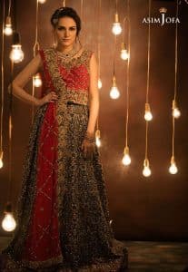Pakistani Wedding Dresses By Famous Fashion Designers