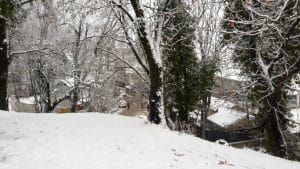 Intensity of Cold Increases Due to Rain and Snowfall in Many Parts of Country