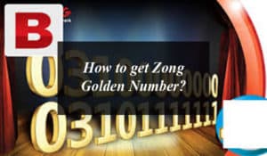 How to get Zong Golden Number?