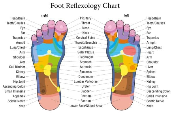 foot-reflexology-chart - daytimes.pk