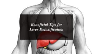 How To Keep Your Liver Healthy?