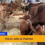 Eid-ul-Adha in Pakistan