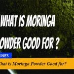 What is Moringa Powder Good for?