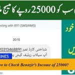 How to Check Benazir's Income of 25000