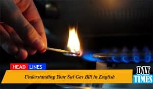 Understanding Your Sui Gas Bill in English